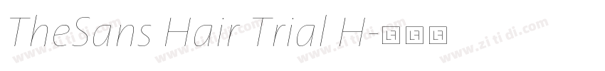 TheSans Hair Trial H字体转换